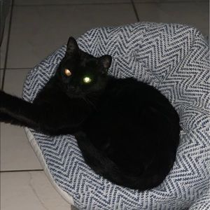 Meet your Posher, Alison